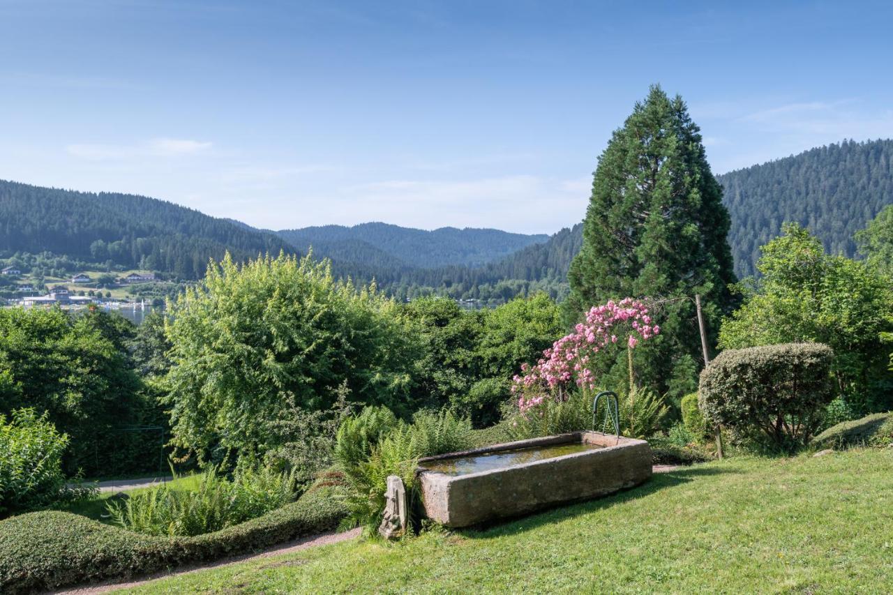 Le Manoir Au Lac Gerardmer Exterior photo