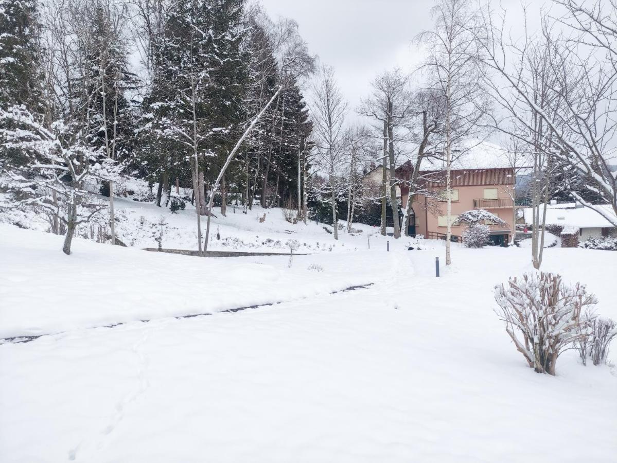 Le Manoir Au Lac Gerardmer Exterior photo